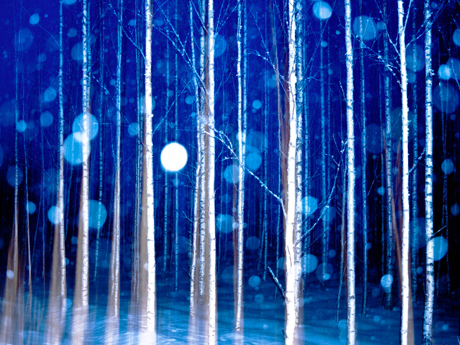 Landscape #77 by Photographer Aki-Pekka Sinikoski